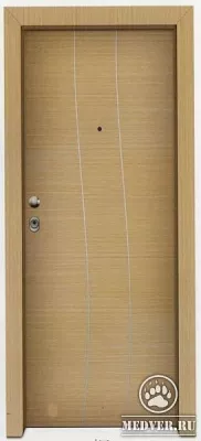 Дверь для чистых помещений-2